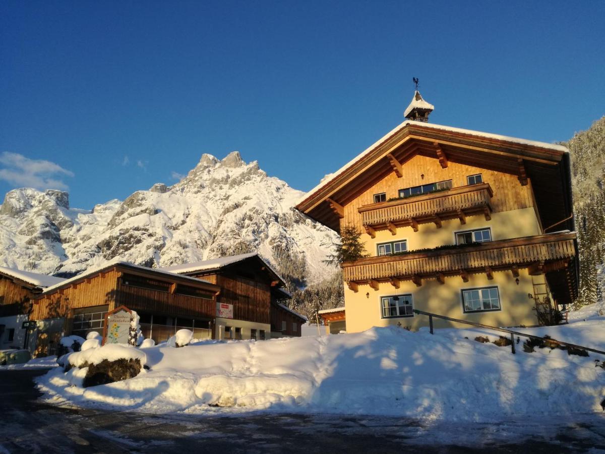 Bio Bauernhof Vorderoberlehen Hotel Werfenweng Exterior foto